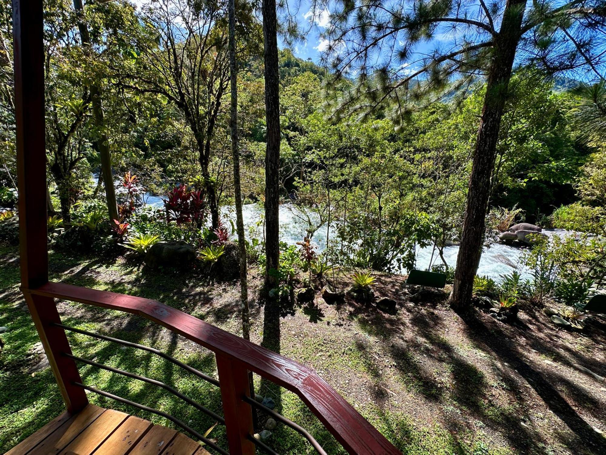 San Isidro De El General Hotel De Montana El Pelicano חדר תמונה
